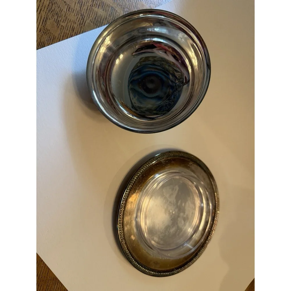 Vintage Oneida Silverplate Round Covered Butter Dish Plastic Liner Plate w/ Top